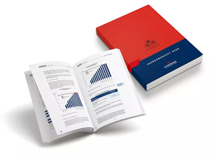 Lektorat Rechnungshof